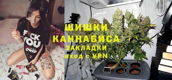 крисы Липки