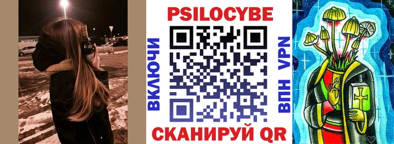 Псилоцибиновые грибы Psilocybe  Апшеронск 